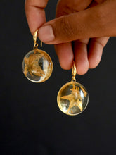 Load image into Gallery viewer, Nightshade Hoop Earrings