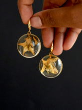 Load image into Gallery viewer, Nightshade Hoop Earrings