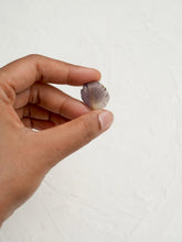 Load image into Gallery viewer, Pride of India Flower Petal Brooch Pin -2