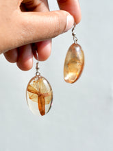 Load image into Gallery viewer, Morning Glory Flower Earrings -5