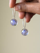 Load image into Gallery viewer, Larkspur Petal Big Hoop Earrings (925 Silver)