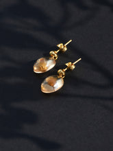 Load image into Gallery viewer, Dandelion Stud Earrings -2