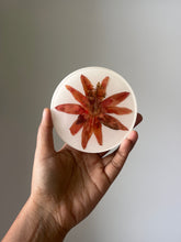 Load image into Gallery viewer, Passion Flower Coaster -2