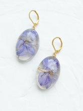 Load image into Gallery viewer, Larkspur Petal Huggie Hoop Earrings -6