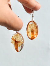 Load image into Gallery viewer, Morning Glory Flower Earrings -5
