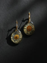 Load image into Gallery viewer, Himalayan Daisy Flower Hoop Earrings