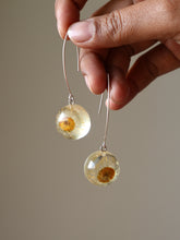 Load image into Gallery viewer, Himalayan Daisy Flower Long Hook Earrings (925 Silver)