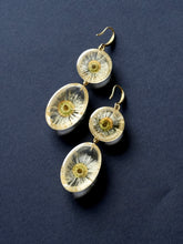 Load image into Gallery viewer, Double Himalayan Daisy Long Hook Earrings