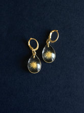 Load image into Gallery viewer, Dandelion Huggie Hoop Earrings -1