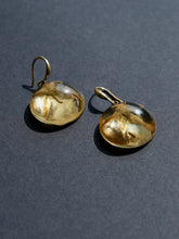 Load image into Gallery viewer, Nightshade Hoop Earrings