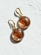 Load image into Gallery viewer, Morning Glory Flower Earrings -1