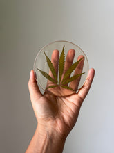 Load image into Gallery viewer, Hemp Coaster Round
