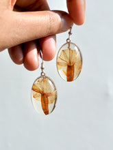 Load image into Gallery viewer, Morning Glory Flower Earrings -5