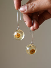 Load image into Gallery viewer, Himalayan Daisy Flower Long Hook Earrings (925 Silver)