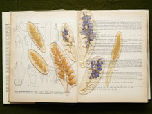 Load image into Gallery viewer, Larkspur Stem Hand-sculpted Bookmark