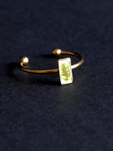 Load image into Gallery viewer, Fern Ring -2