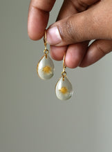 Load image into Gallery viewer, Dandelion Huggie Hoop Earrings -1