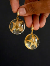 Load image into Gallery viewer, Nightshade Hoop Earrings