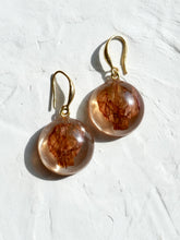 Load image into Gallery viewer, Morning Glory Flower Earrings -1