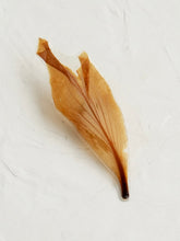 Load image into Gallery viewer, Kachnar Petal Brooch Pin