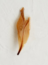 Load image into Gallery viewer, Kachnar Petal Brooch Pin