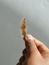 Load image into Gallery viewer, Velvet Celosia
Flower Brooch Pin -1