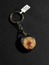 Load image into Gallery viewer, Wild Rose Keyring -1