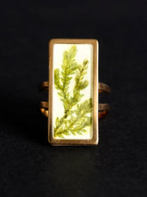 Load image into Gallery viewer, Fern Ring -1
