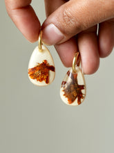 Load image into Gallery viewer, Orange Cosmos Flower Hoop Earrings