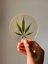 Load image into Gallery viewer, Handmade resin coaster with a preserved hemp leaf, providing a simple yet elegant botanical accent.
