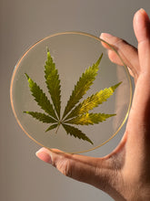 Load image into Gallery viewer, Pressed green hemp leaf sealed in a round resin coaster, emphasizing its vibrant color and natural texture