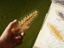 Load image into Gallery viewer, Fern Frond Friend Hand-sculpted Bookmark