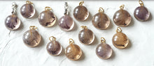 Load image into Gallery viewer, Pride of India Flower Petal Charms (Round)