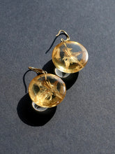 Load image into Gallery viewer, Nightshade Hoop Earrings