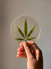 Load image into Gallery viewer, Round resin coaster featuring a vibrant pressed hemp leaf, held against soft natural light, showcasing its intricate details.