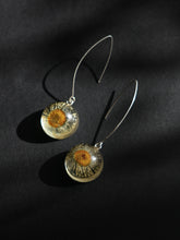 Load image into Gallery viewer, Himalayan Daisy Flower Long Hook Earrings (925 Silver)