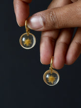 Load image into Gallery viewer, Dandelion Hoop Earrings -5