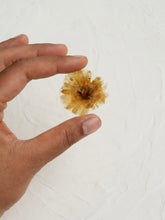 Load image into Gallery viewer, Chrysanthemum Flower Brooch Pin -2