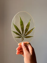 Load image into Gallery viewer, Oval resin coaster with a pressed hemp leaf, photographed in natural sunlight, showcasing its fine details and clarity, perfect for eco-conscious decor lovers