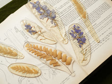 Load image into Gallery viewer, Larkspur Stem Hand-sculpted Bookmark