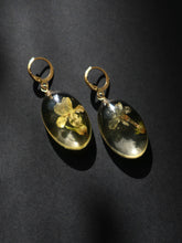 Load image into Gallery viewer, Buttercup Primrose Flower Huggie Hoop Earrings