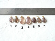 Load image into Gallery viewer, Pride of India Flower Petal Charms (Oval)