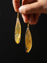 Load image into Gallery viewer, Wild Himalayan Sunflower Petal (As-Is) Earrings -2