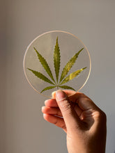 Load image into Gallery viewer, Round transparent resin coaster featuring a hemp leaf, its vibrant green hues glowing under soft light