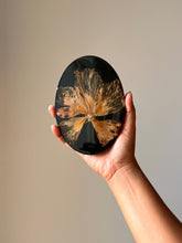 Load image into Gallery viewer, Close-up shot of a dried hibiscus flower embedded in a glossy black resin coaster, featuring detailed petals and a prominently visible pollen stem. The deep black background accentuates the flower’s natural beauty.