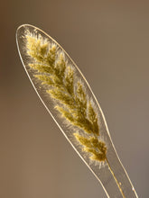 Load image into Gallery viewer, Grass Flower (As-is) Bookmark -1