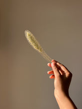 Load image into Gallery viewer, Grass Flower (As-is) Bookmark -1