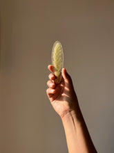 Load image into Gallery viewer, Grass Flower (As-is) Bookmark -3