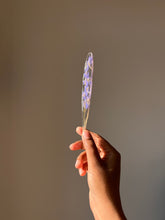 Load image into Gallery viewer, Larkspur Flower Stem (As-is) Bookmark -5