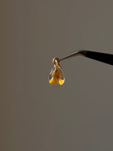 Load image into Gallery viewer, Sarso (Mustard) Blossom Mini Charm -7